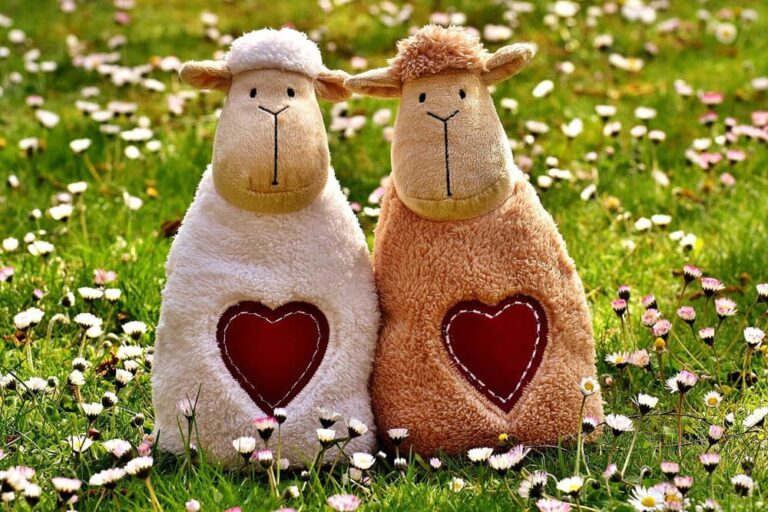 ソウルメイトとは？5つの特徴とソウルメイトが現れる時期 ネクスピ